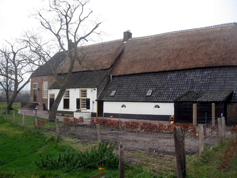 Het Groot Duijfhuis met de duiventoren